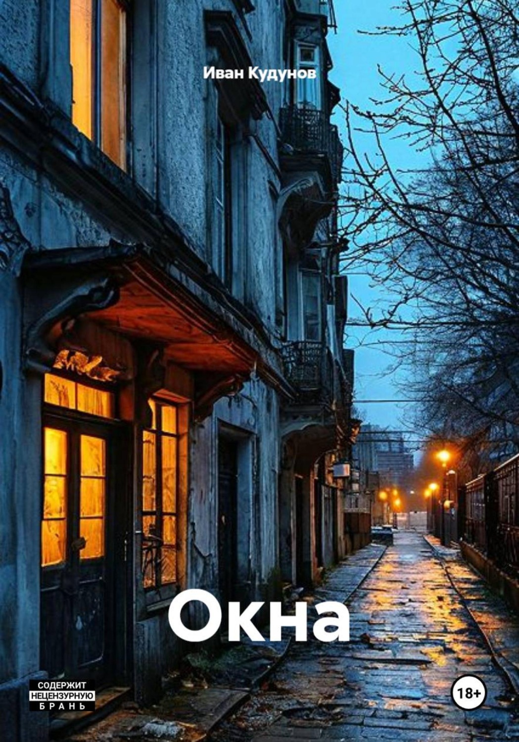 Обложка книги «Окна»