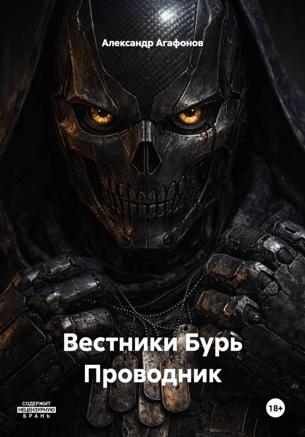 Обложка книги «Вестники Бурь Проводник»