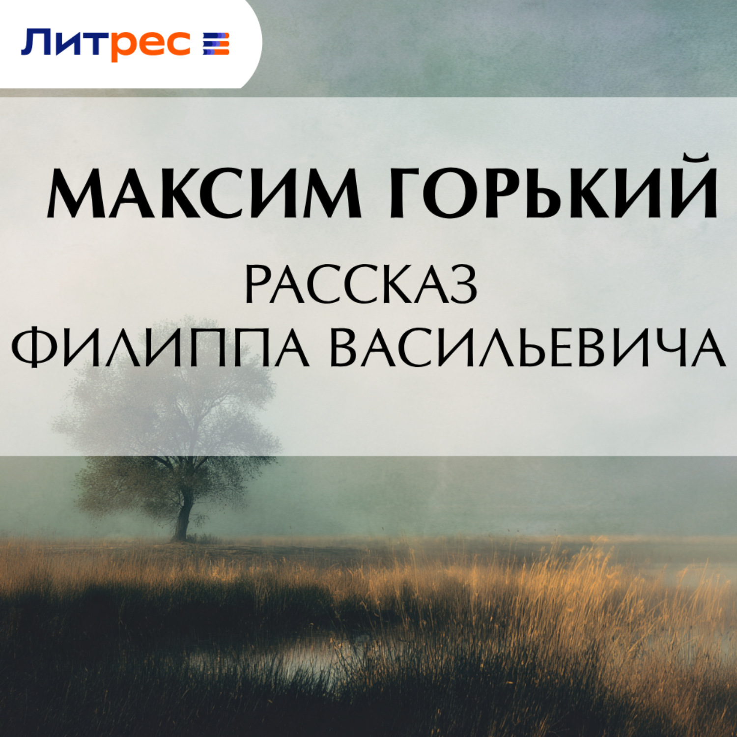 Обложка книги «Рассказ Филиппа Васильевича»