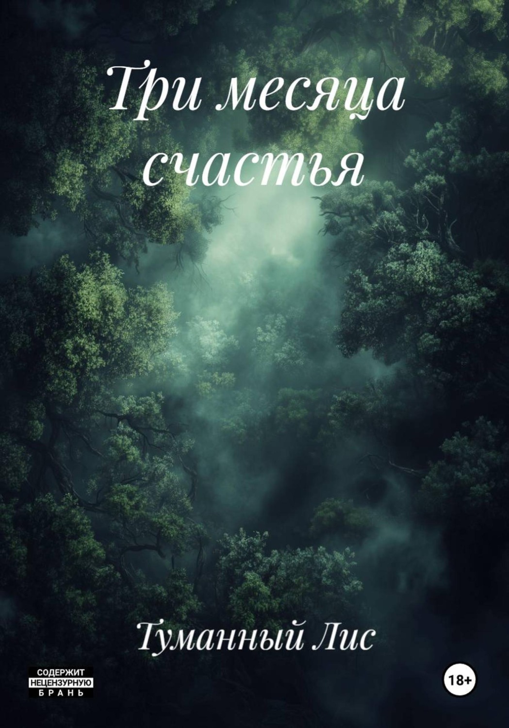 Обложка книги «Три месяца счастья»