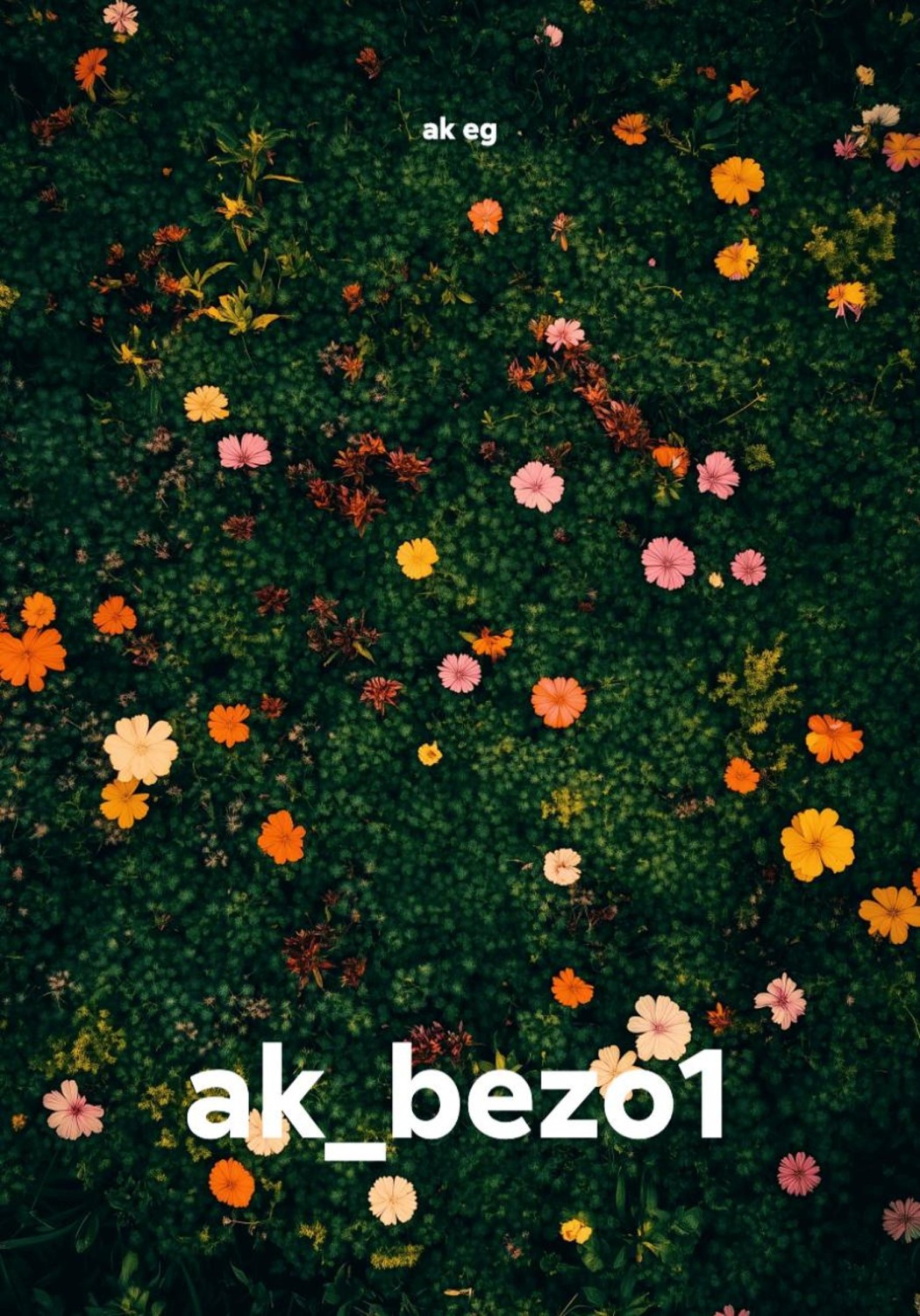 Обложка книги «ak_bezo1»
