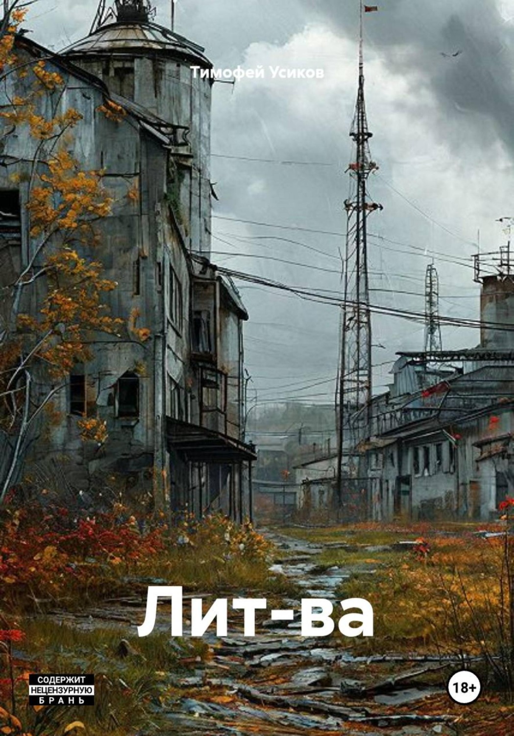 Обложка книги «Лит-ва»
