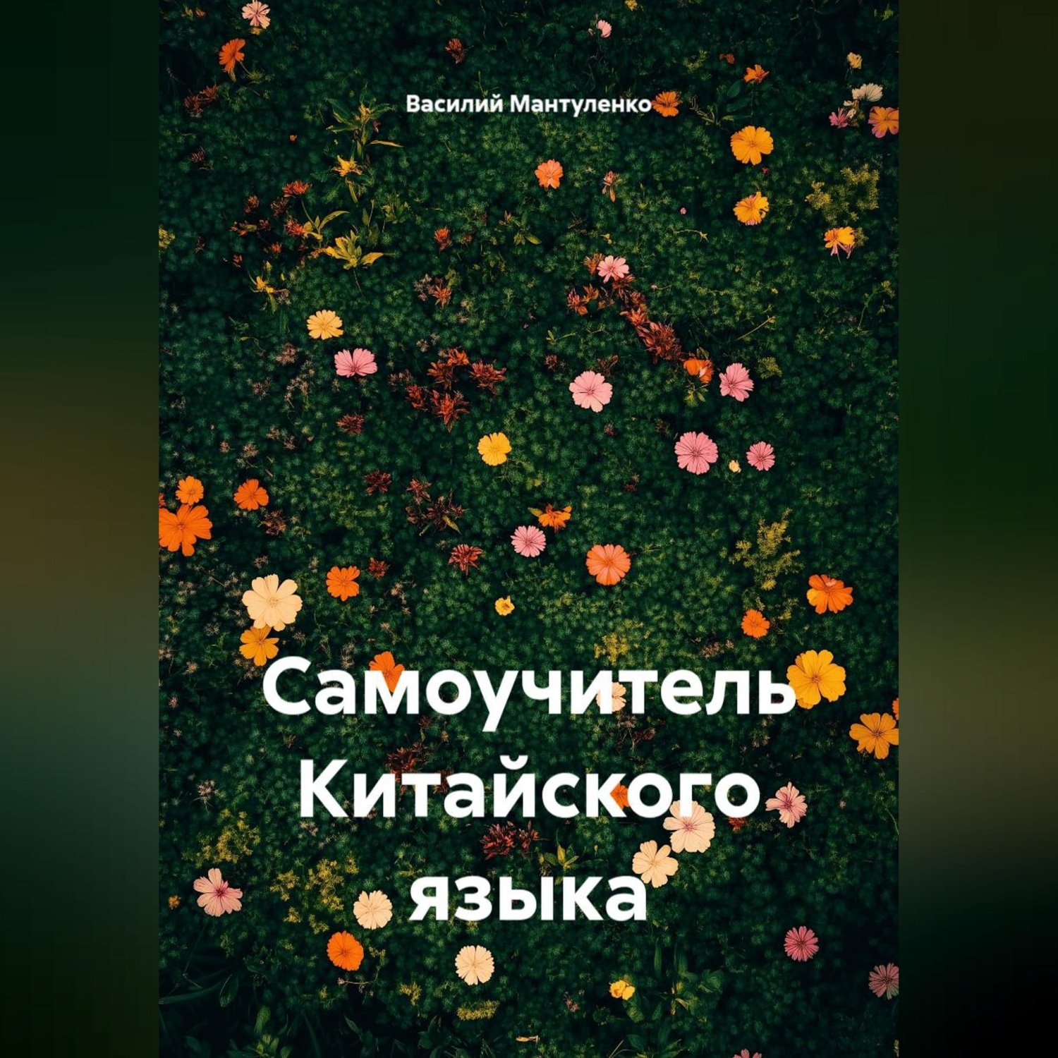 Обложка книги «Самоучитель Китайского языка»