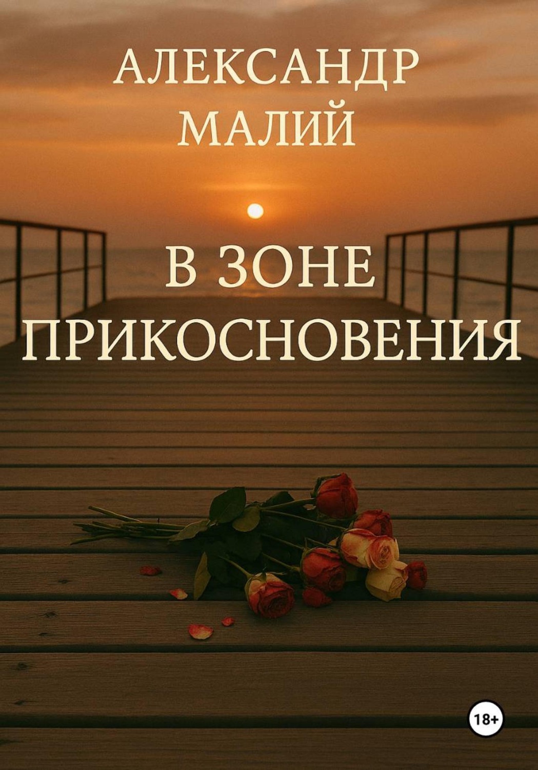 Обложка книги «В зоне прикосновения»