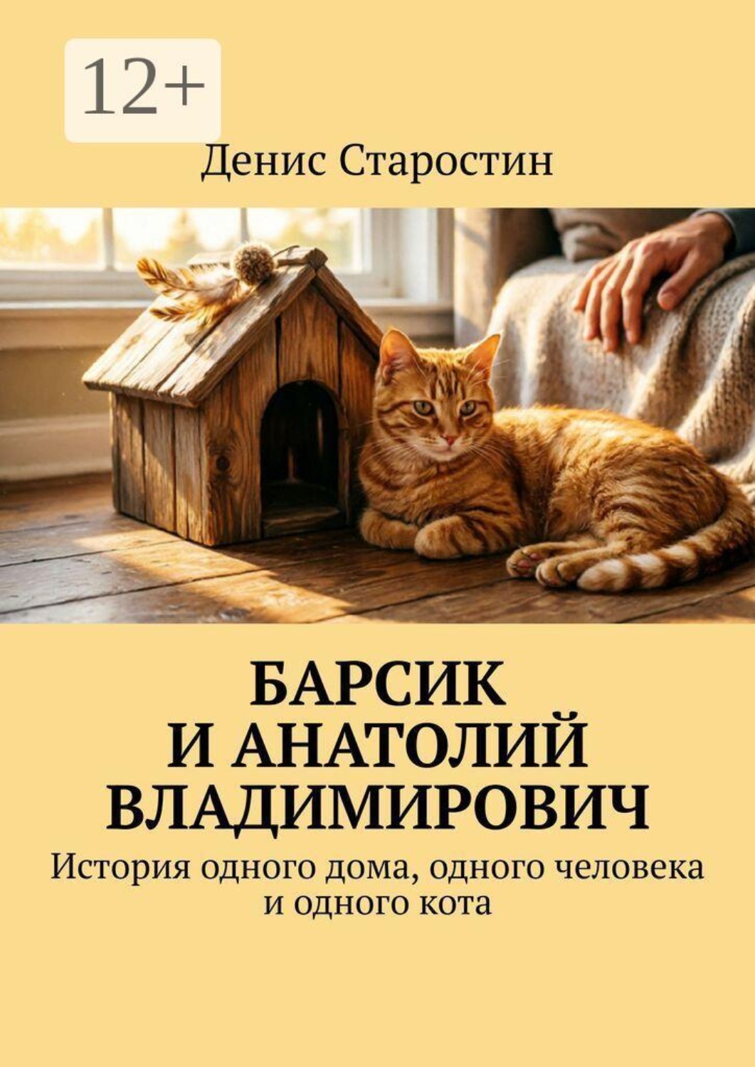 Обложка книги «Барсик и Анатолий Владимирович. История одного дома, одного человека и одного кота»