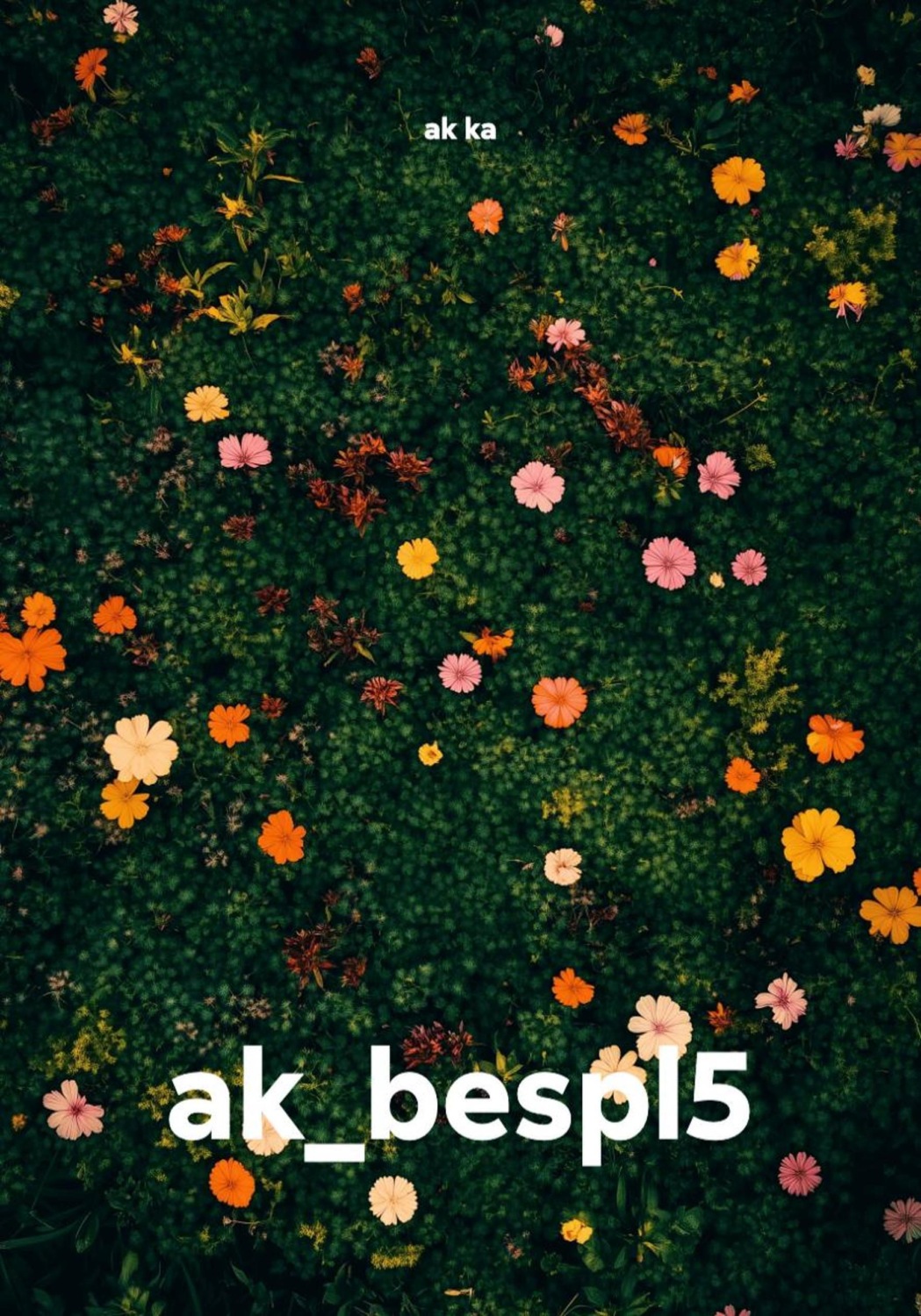 Обложка книги «ak_bespl5»