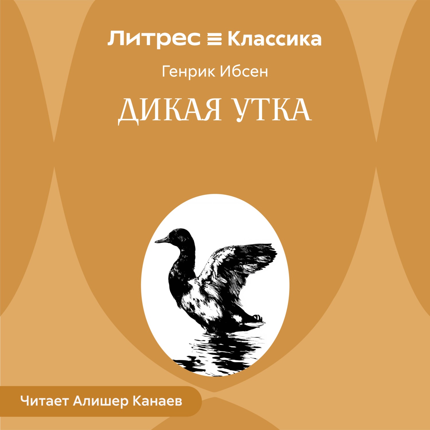 Обложка книги «Дикая утка»