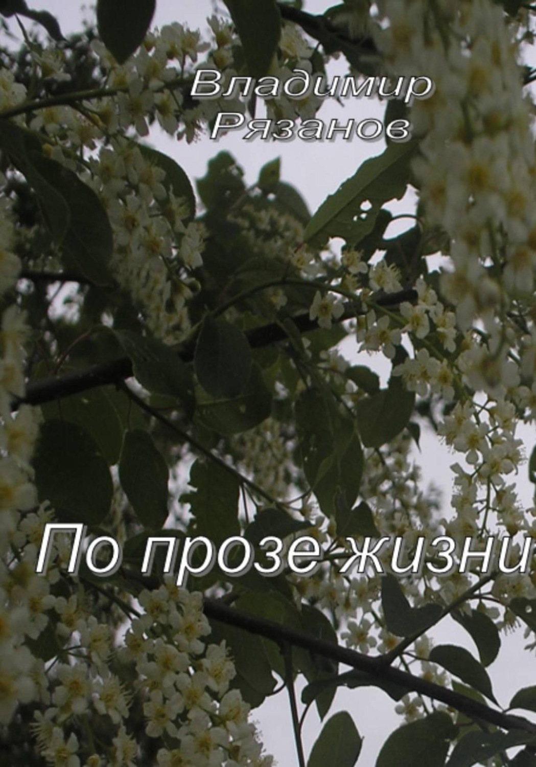 Обложка книги «По прозе жизни»