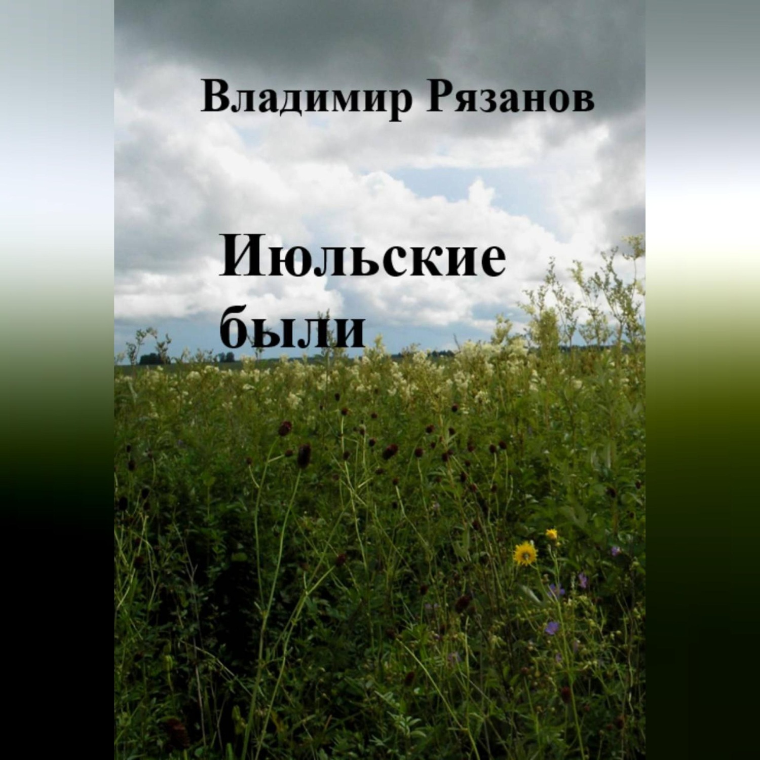 Обложка книги «Июльские были»
