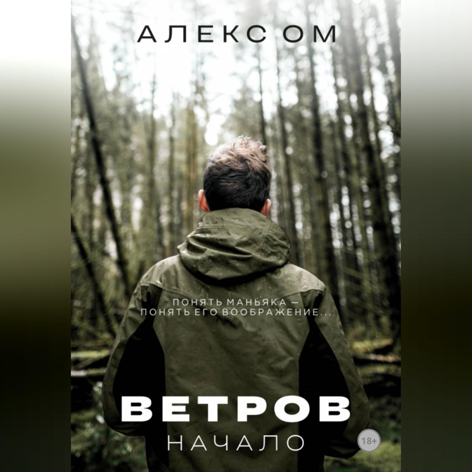 Обложка книги «Ветров. Начало»