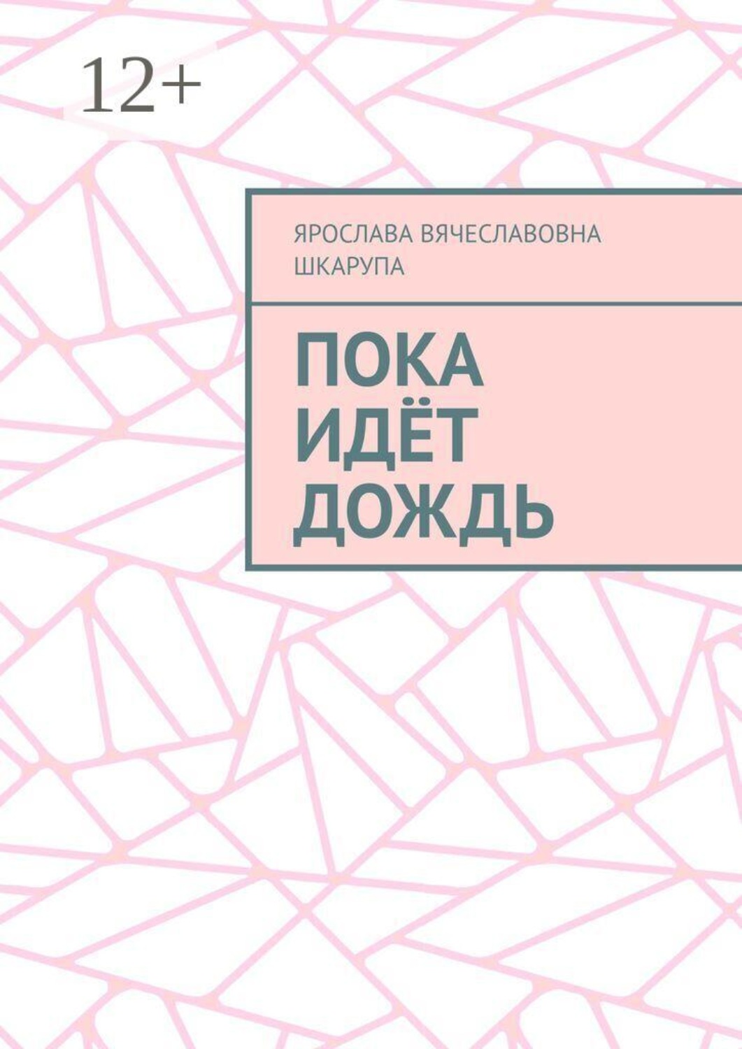 Обложка книги «Пока идёт дождь»