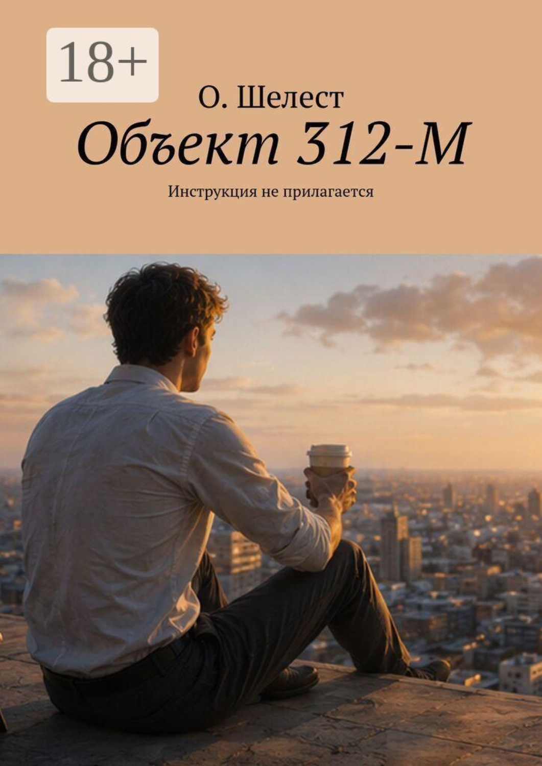 Обложка книги «Объект 312-М. Инструкция не прилагается»
