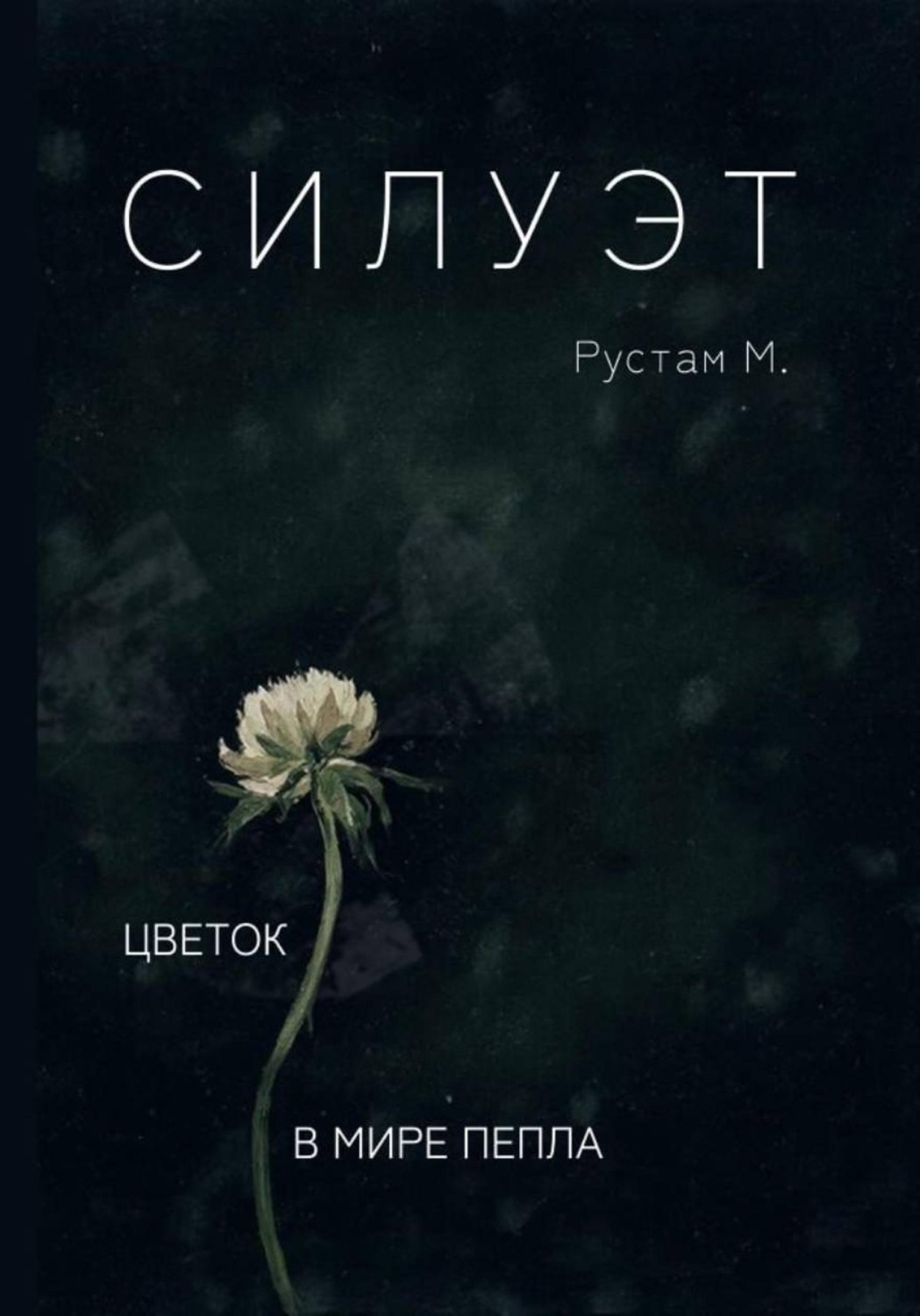 Обложка книги «Силуэт»