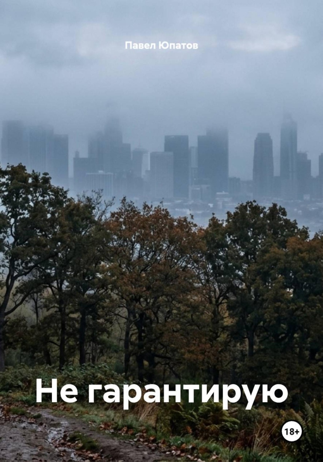 Обложка книги «Не гарантирую»