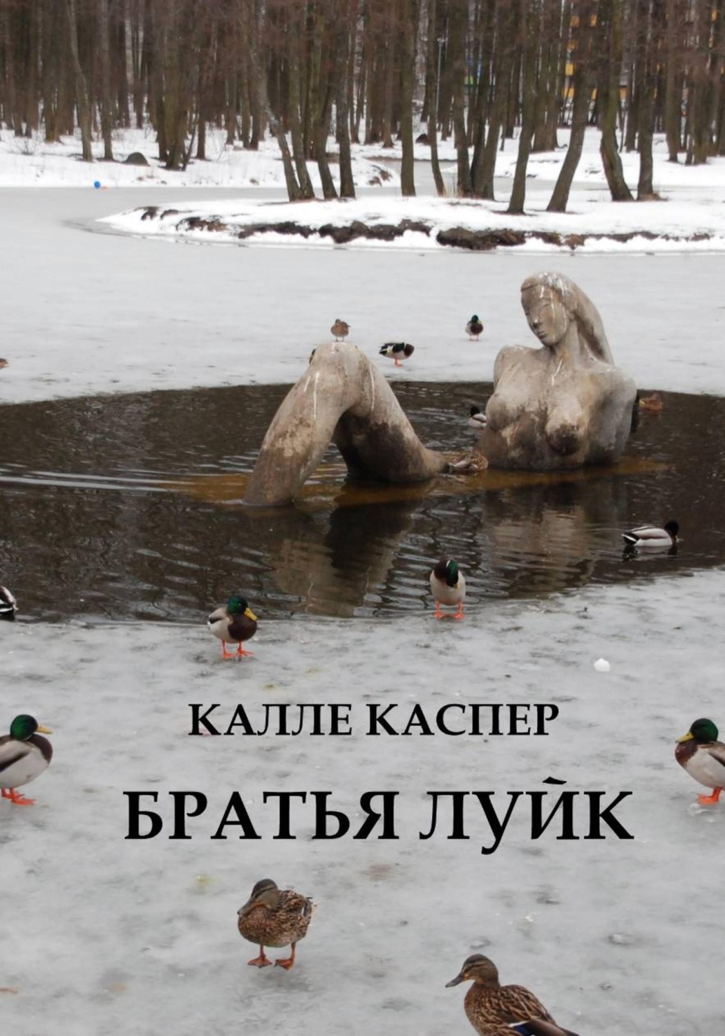 Обложка книги «Братья Луйк»