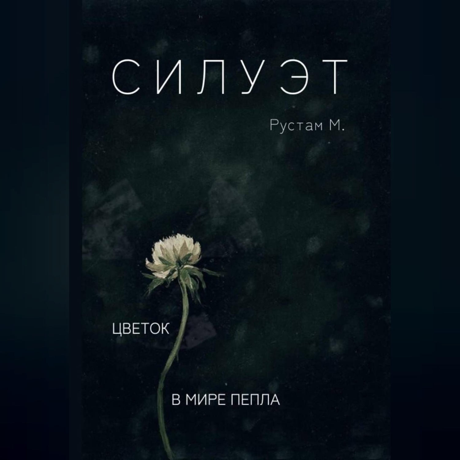 Обложка книги «Силуэт»
