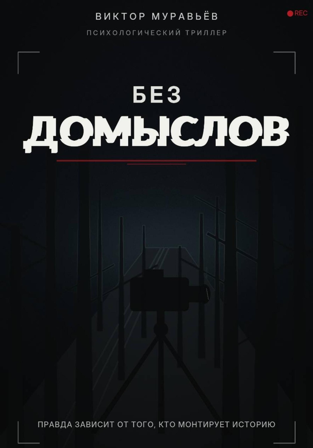 Обложка книги «Без домыслов»