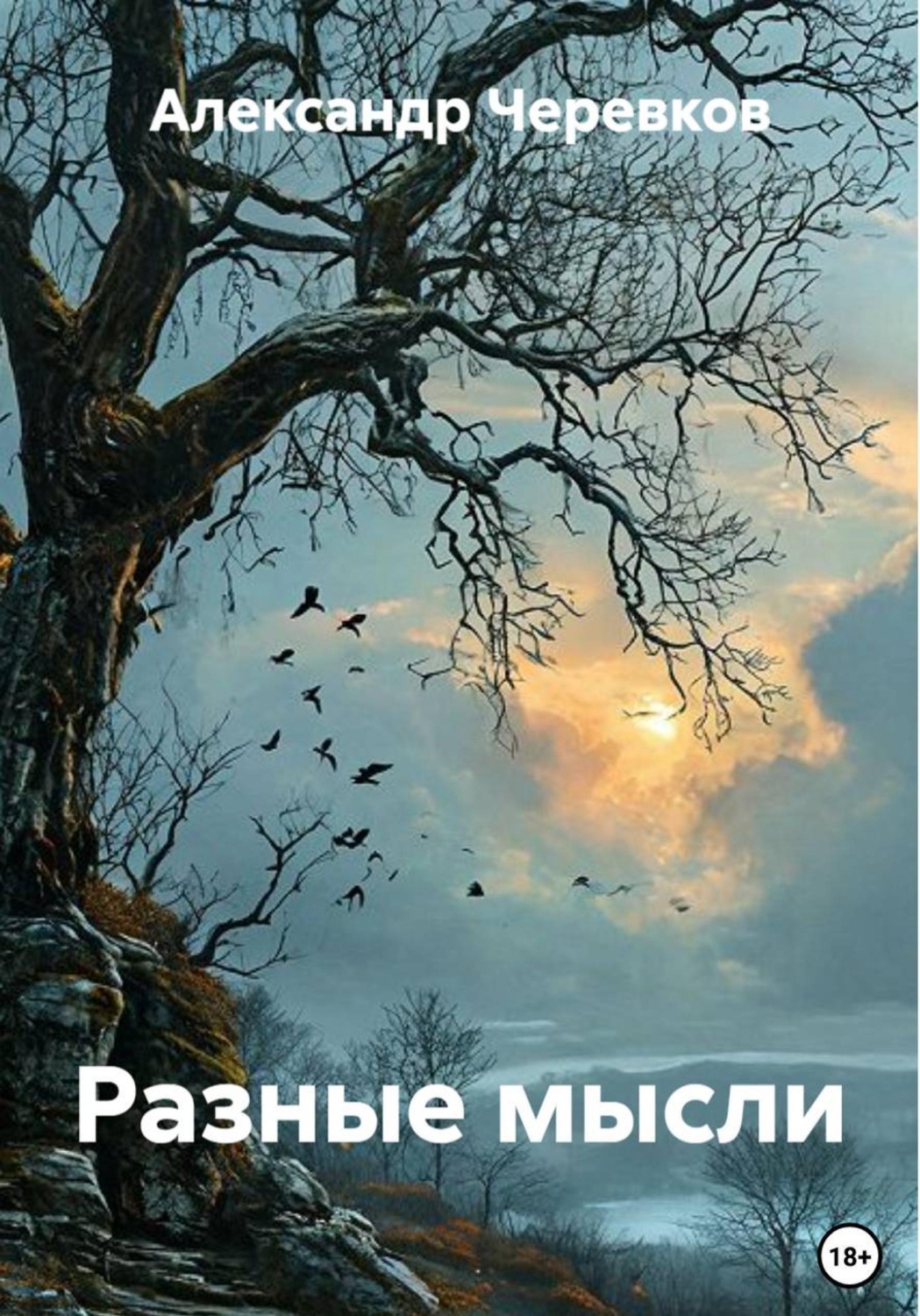 Обложка книги «Разные мысли»