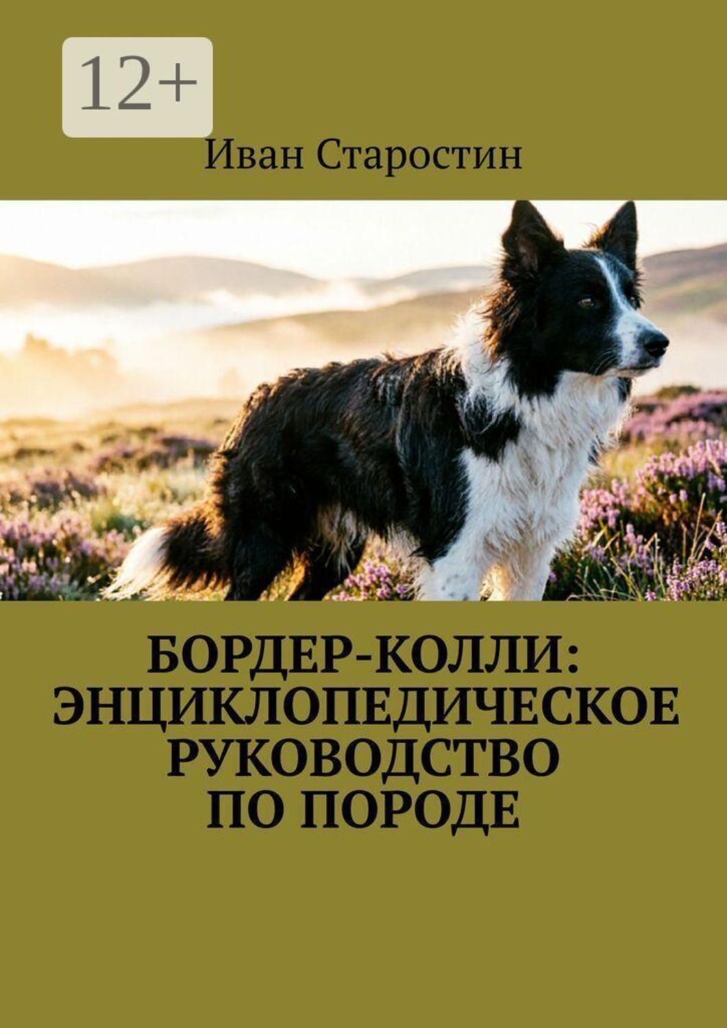 Обложка книги «Бордер-колли: Энциклопедическое руководство по породе»