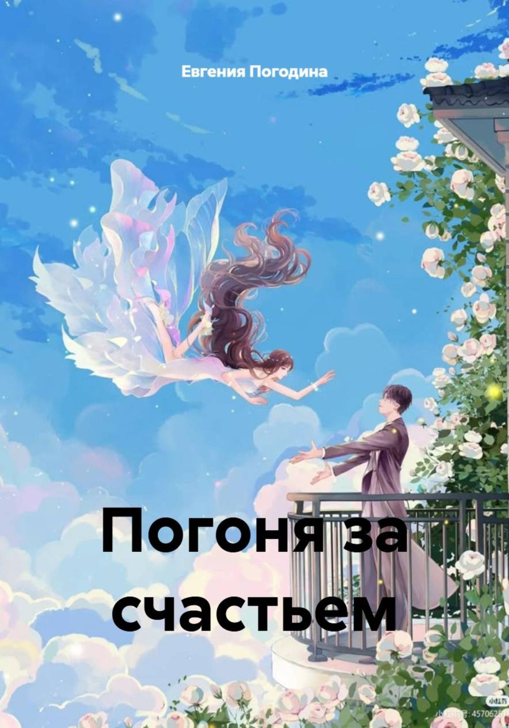 Обложка книги «Погоня за счастьем»