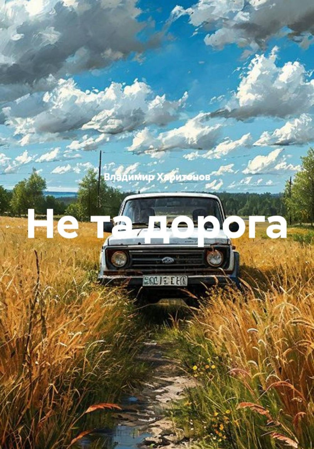 Обложка книги «Не та дорога»