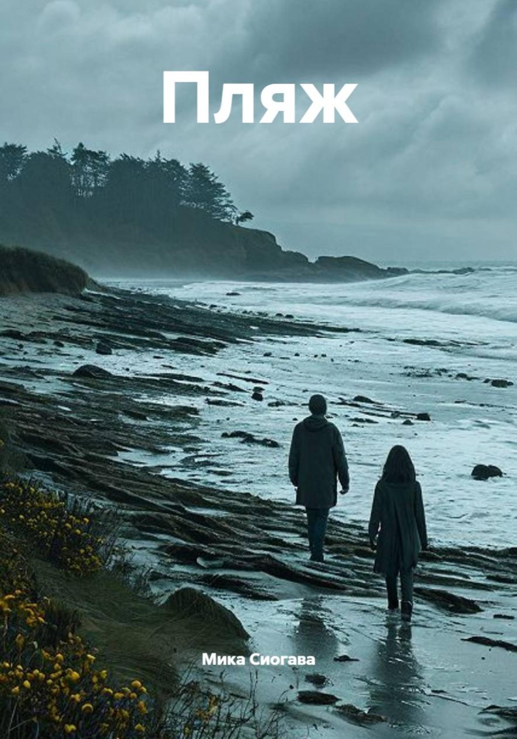 Обложка книги «Пляж»