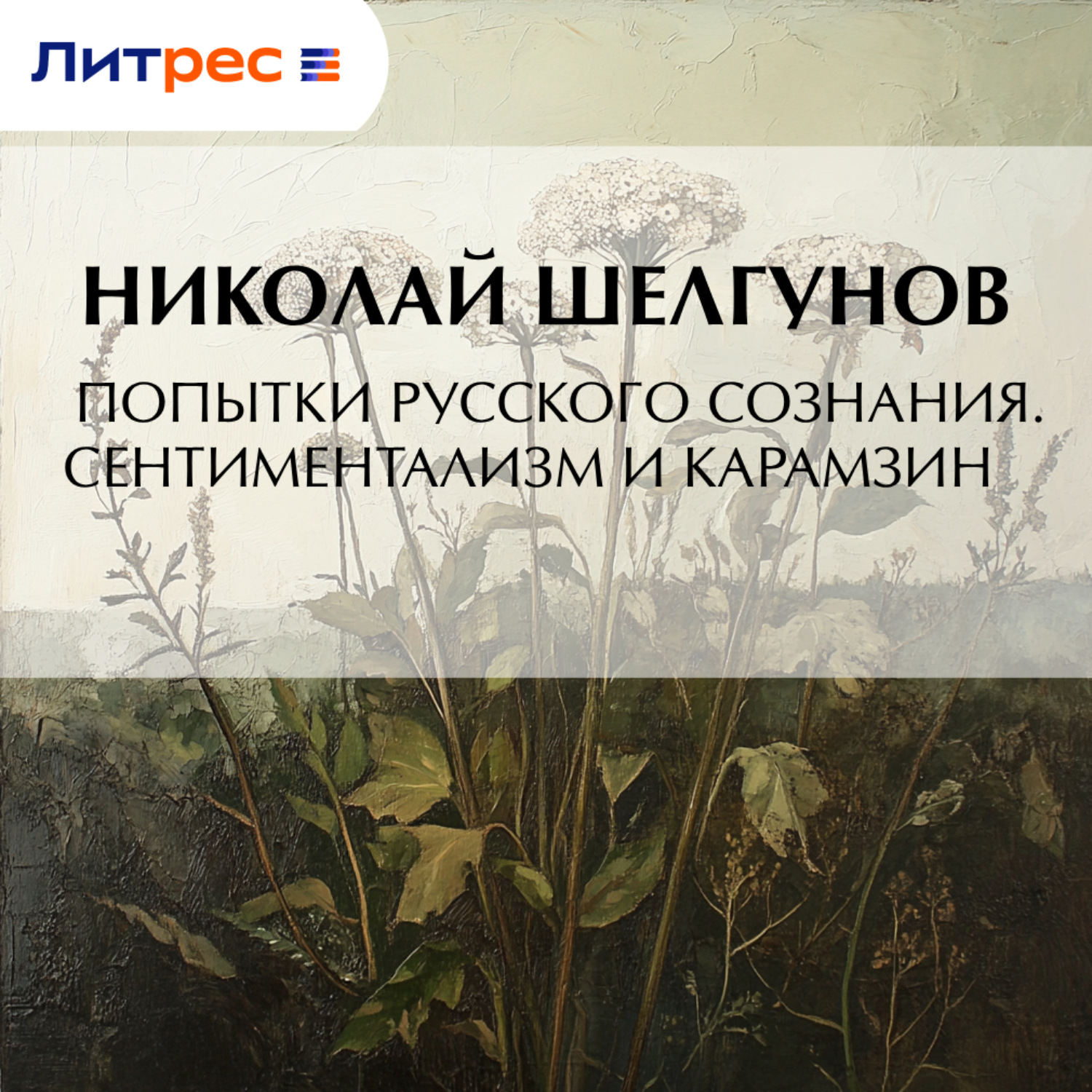 Обложка книги «Попытки русского сознания. Сентиментализм и Карамзин»