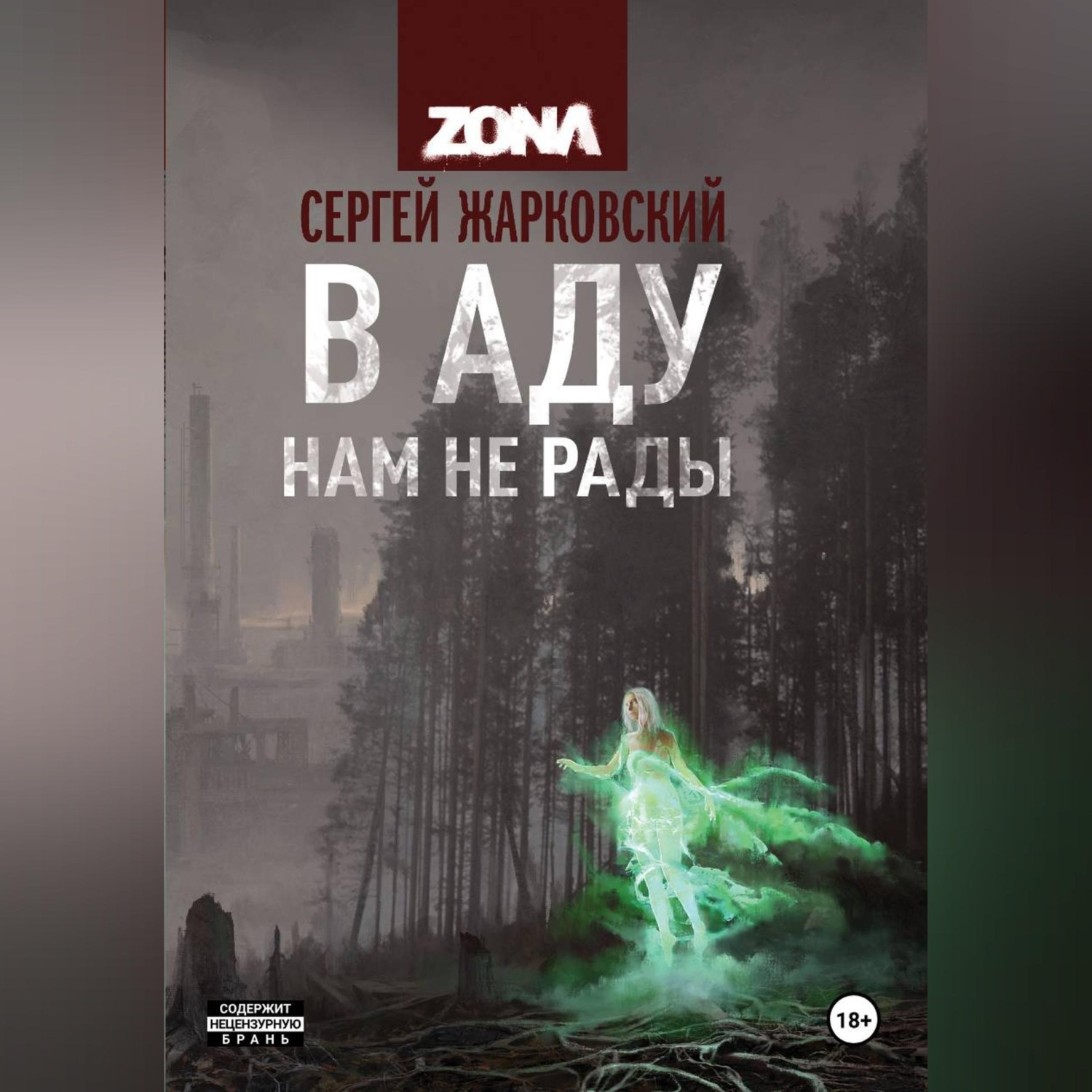 Обложка книги «В АДУ НАМ НЕ РАДЫ»