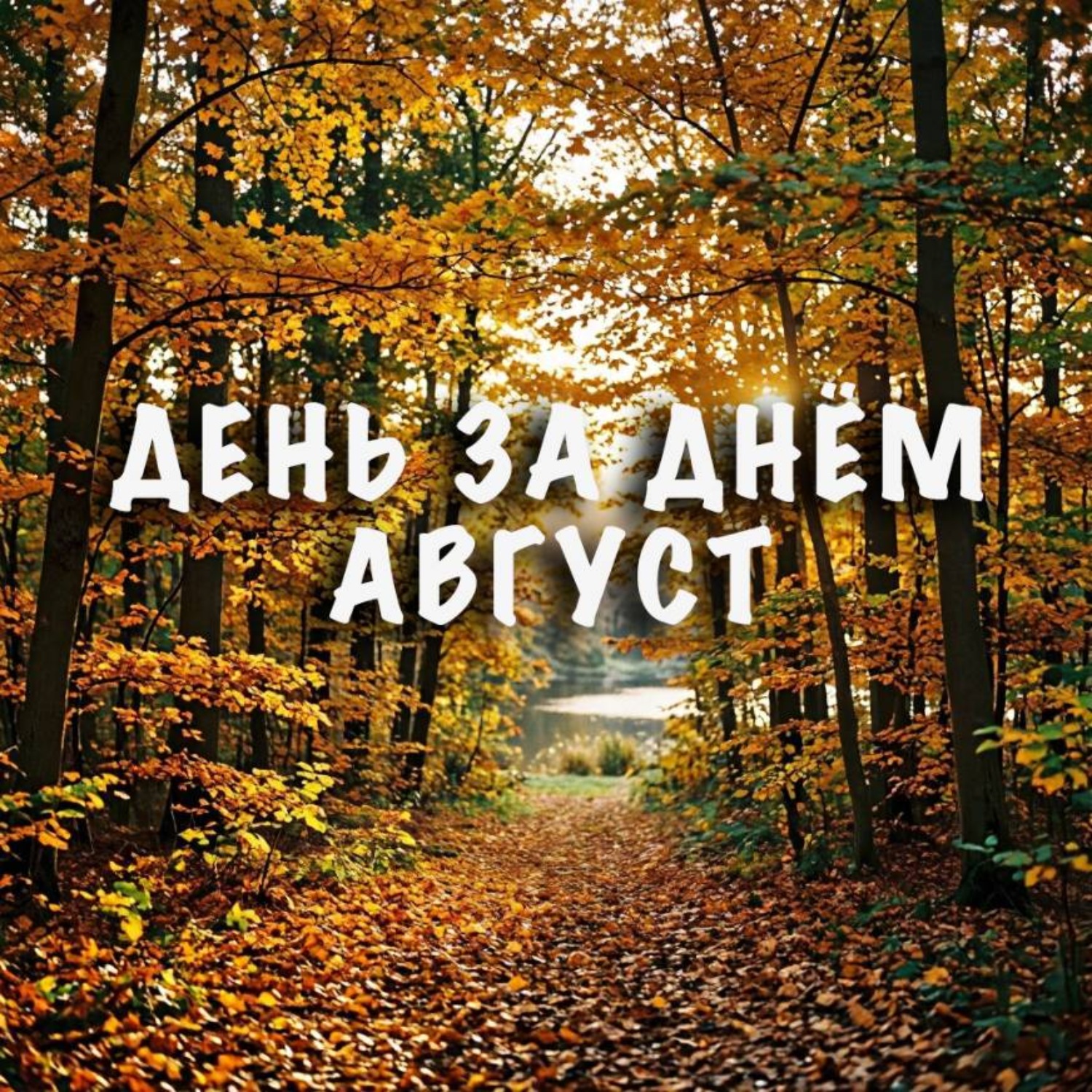 Обложка книги «День за днем. Август»