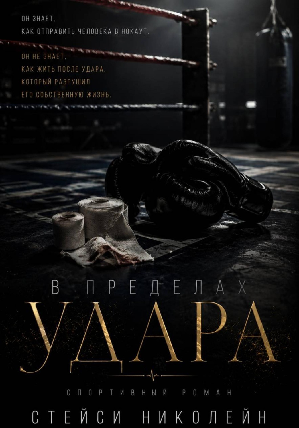 Обложка книги «В пределах удара»