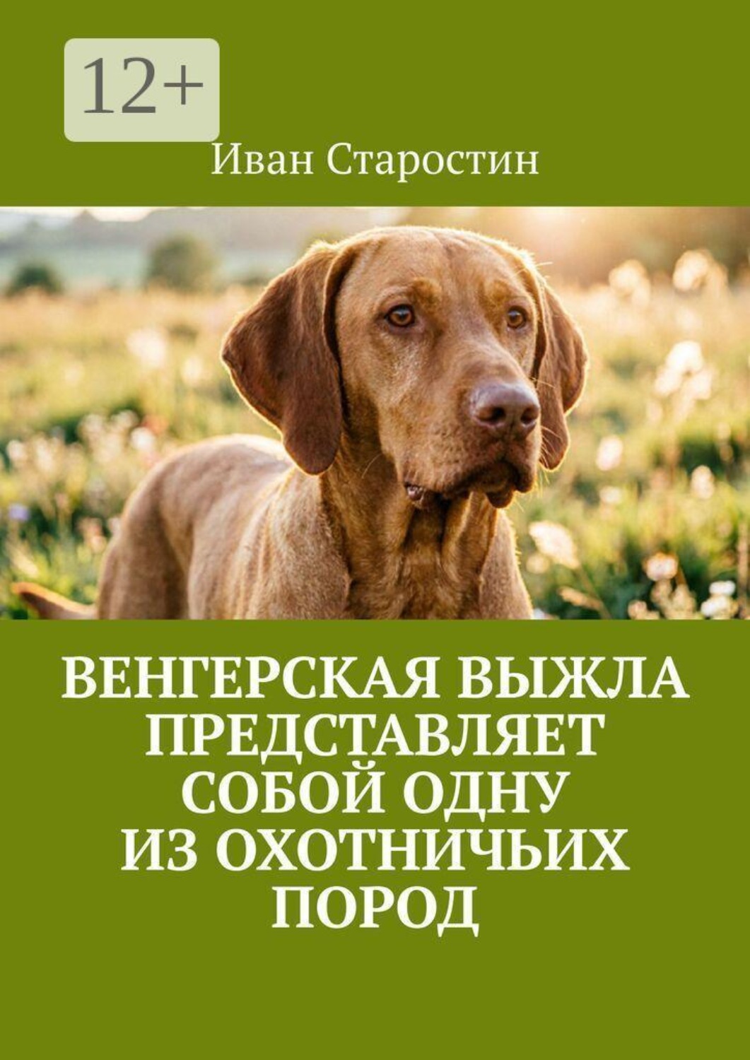 Обложка книги «Венгерская выжла представляет собой одну из охотничьих пород»