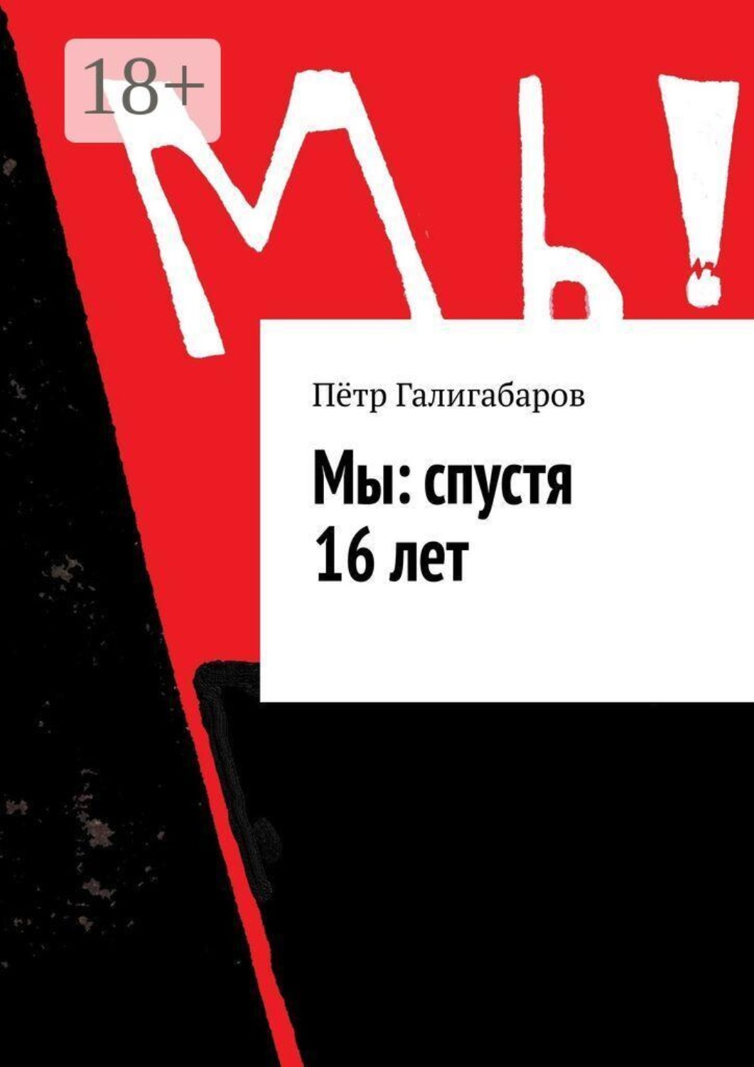 Обложка книги «Мы: спустя 16 лет»