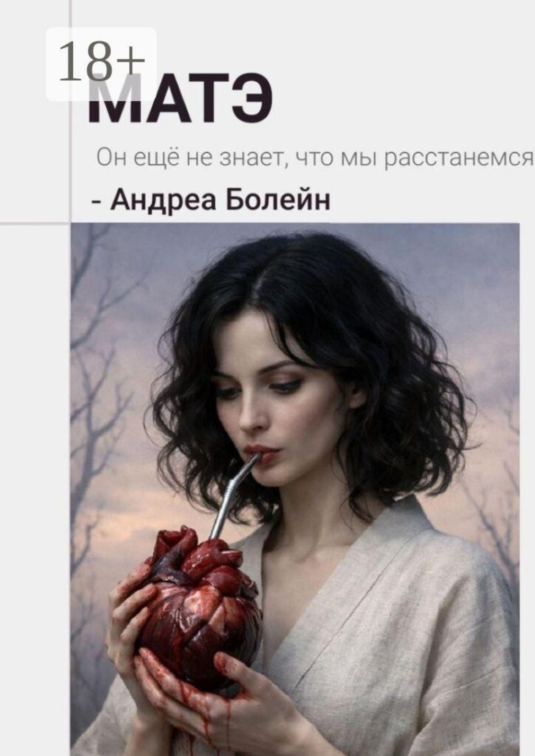 Обложка книги «Матэ»