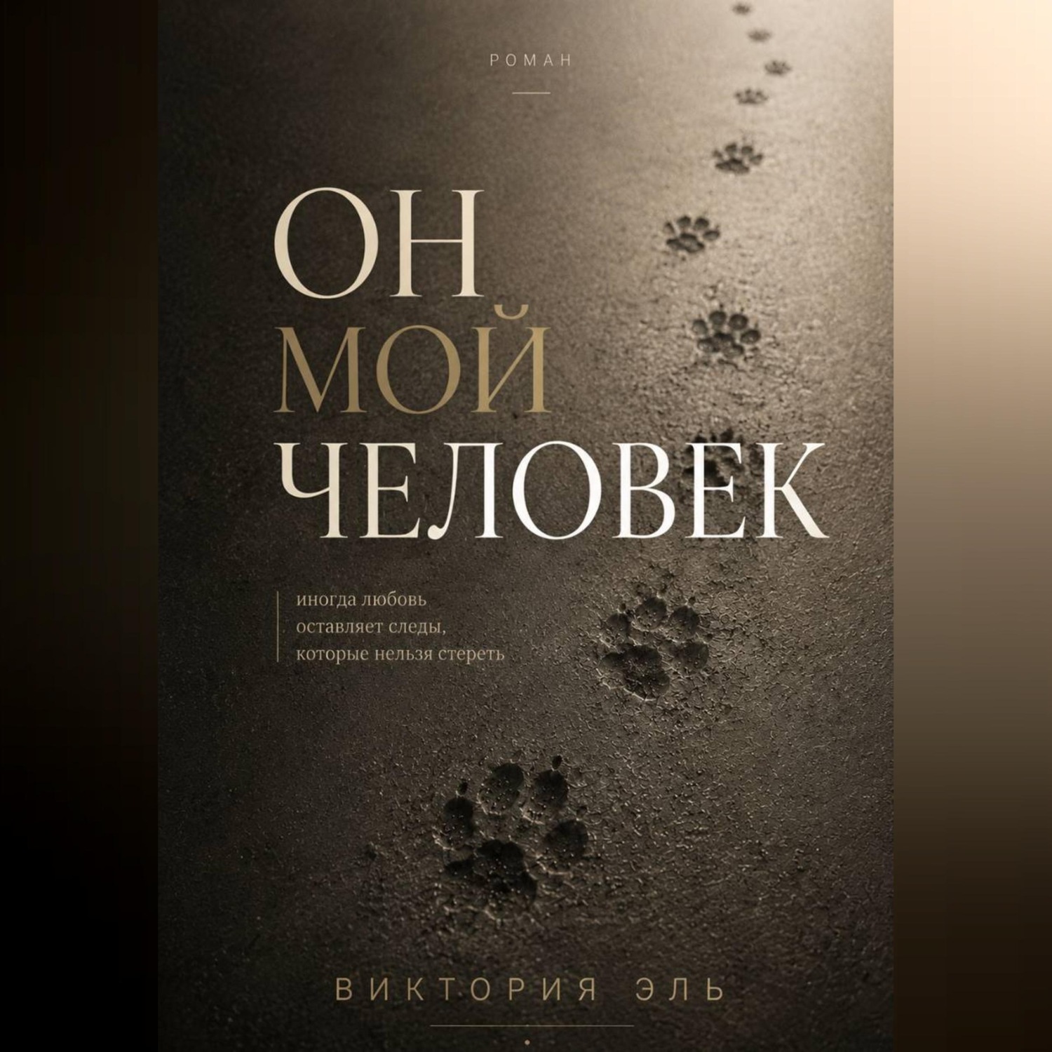 Обложка книги «Он мой человек»