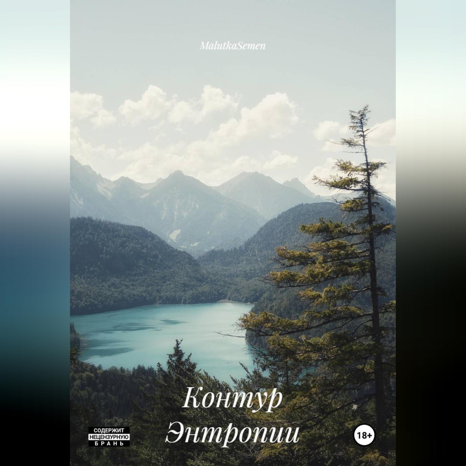 Обложка книги «Контур Энтропии»