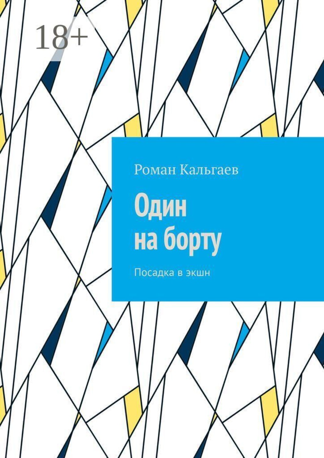 Обложка книги «Один на борту. Посадка в экшн»