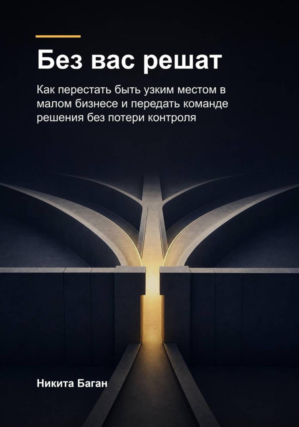 Обложка книги «Без вас решат»
