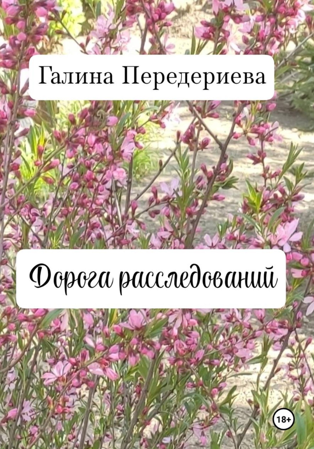 Обложка книги «Дорога расследований»