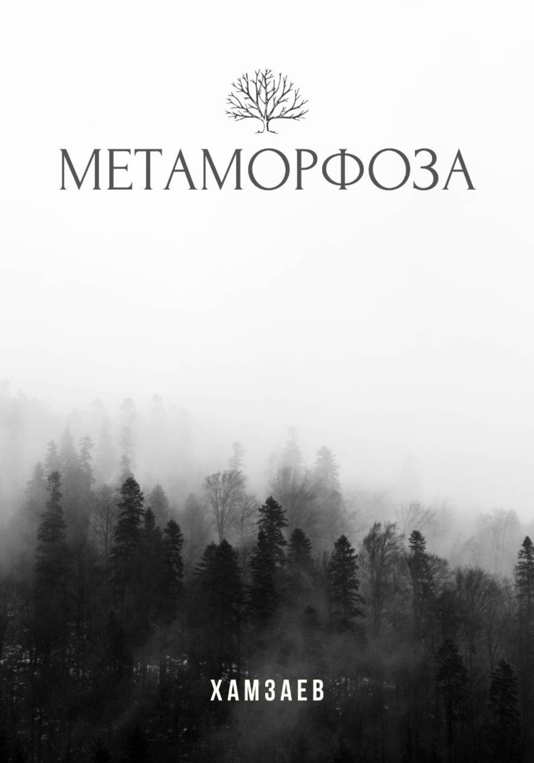 Обложка книги «Метаморфоза»