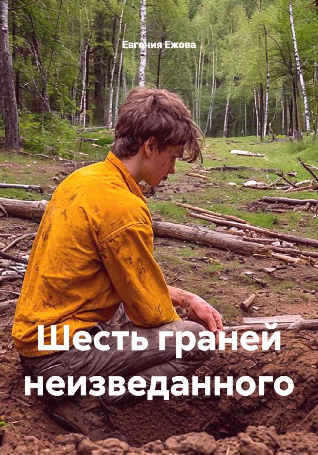 Обложка книги «Шесть граней неизведанного»