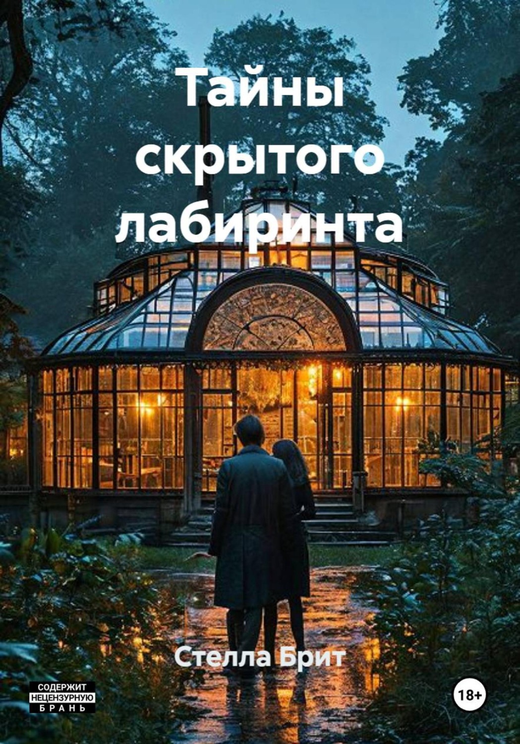 Обложка книги «Тайны скрытого лабиринта»