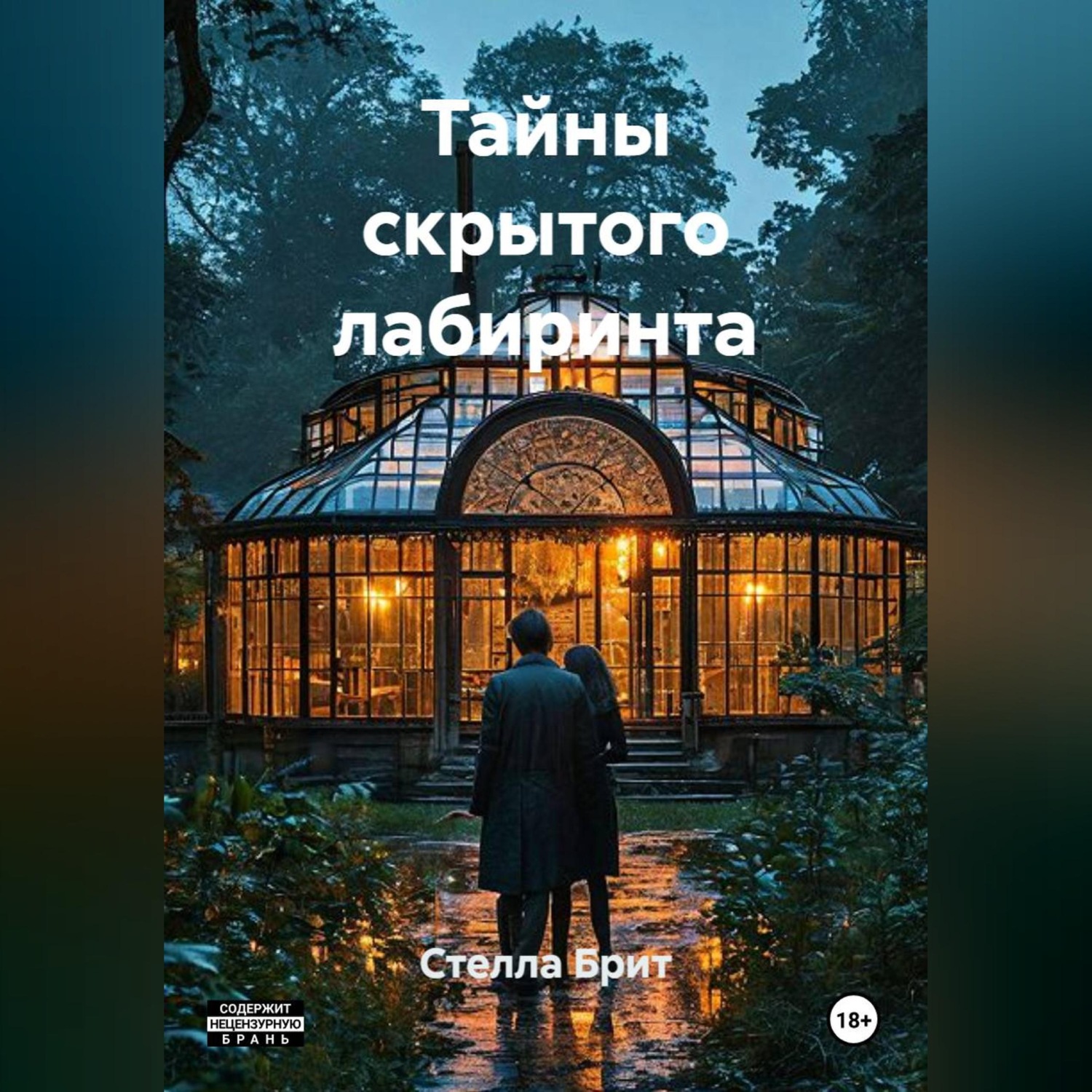 Обложка книги «Тайны скрытого лабиринта»