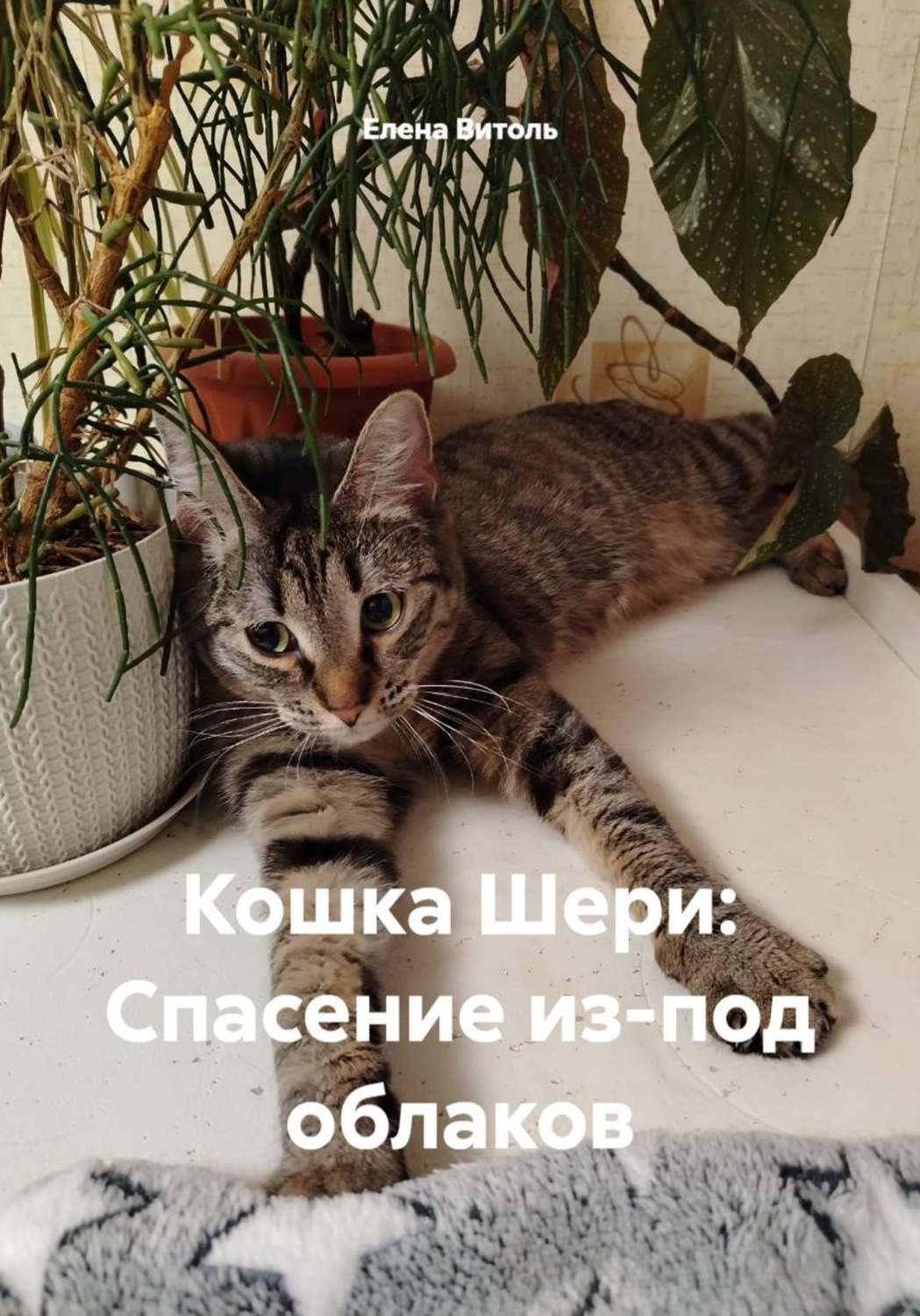 Обложка книги «Кошка Шери: Спасение из-под облаков»