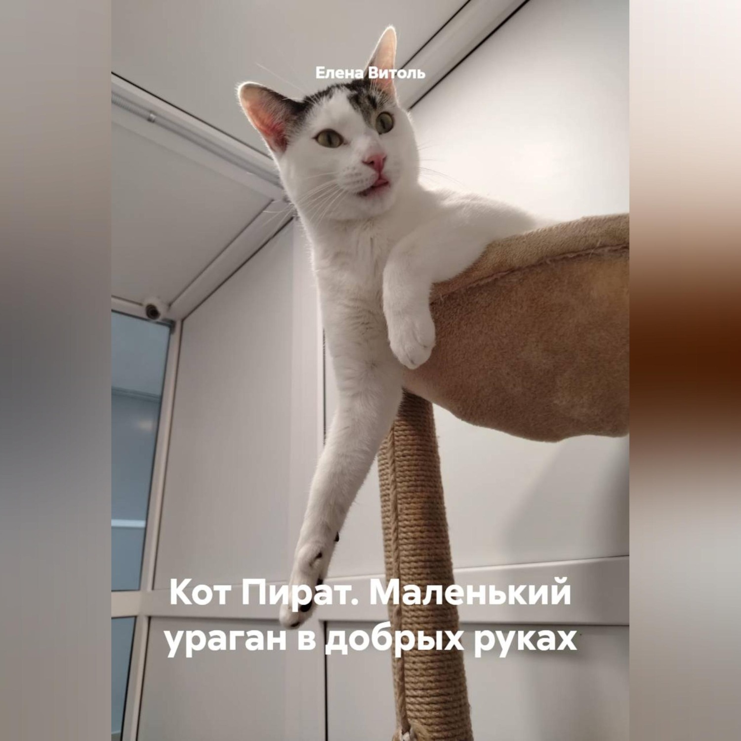 Обложка книги «Кот Пират: Маленький ураган в добрых руках»