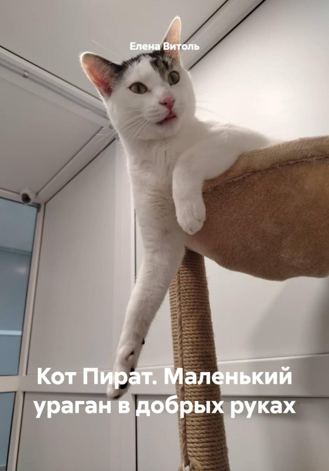 Обложка книги «Кот Пират. Маленький ураган в добрых руках»