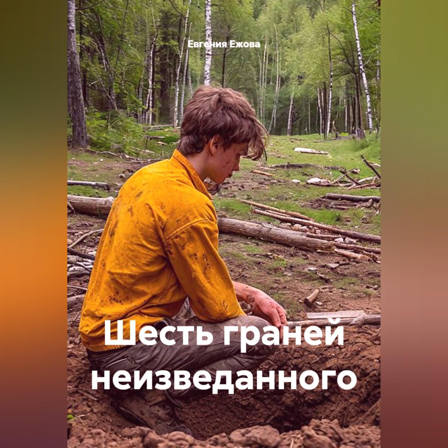 Обложка книги «Шесть граней неизведанного»