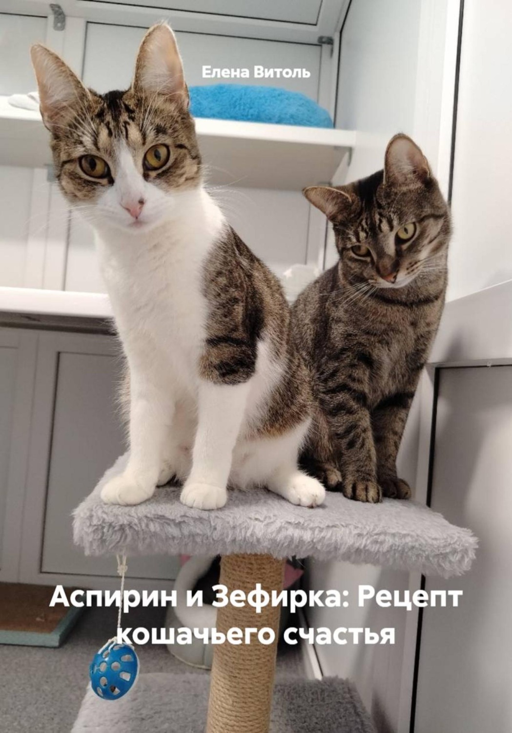 Обложка книги «Аспирин и Зефирка: Рецепт кошачьего счастья»