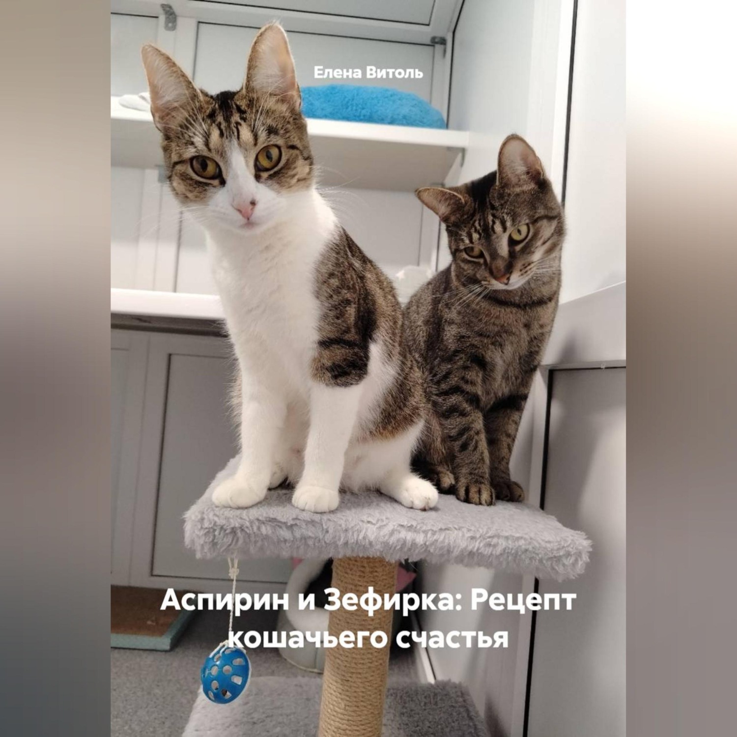 Обложка книги «Аспирин и Зефирка: Рецепт кошачьего счастья»