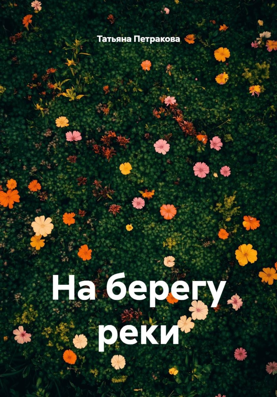 Обложка книги «На берегу реки»