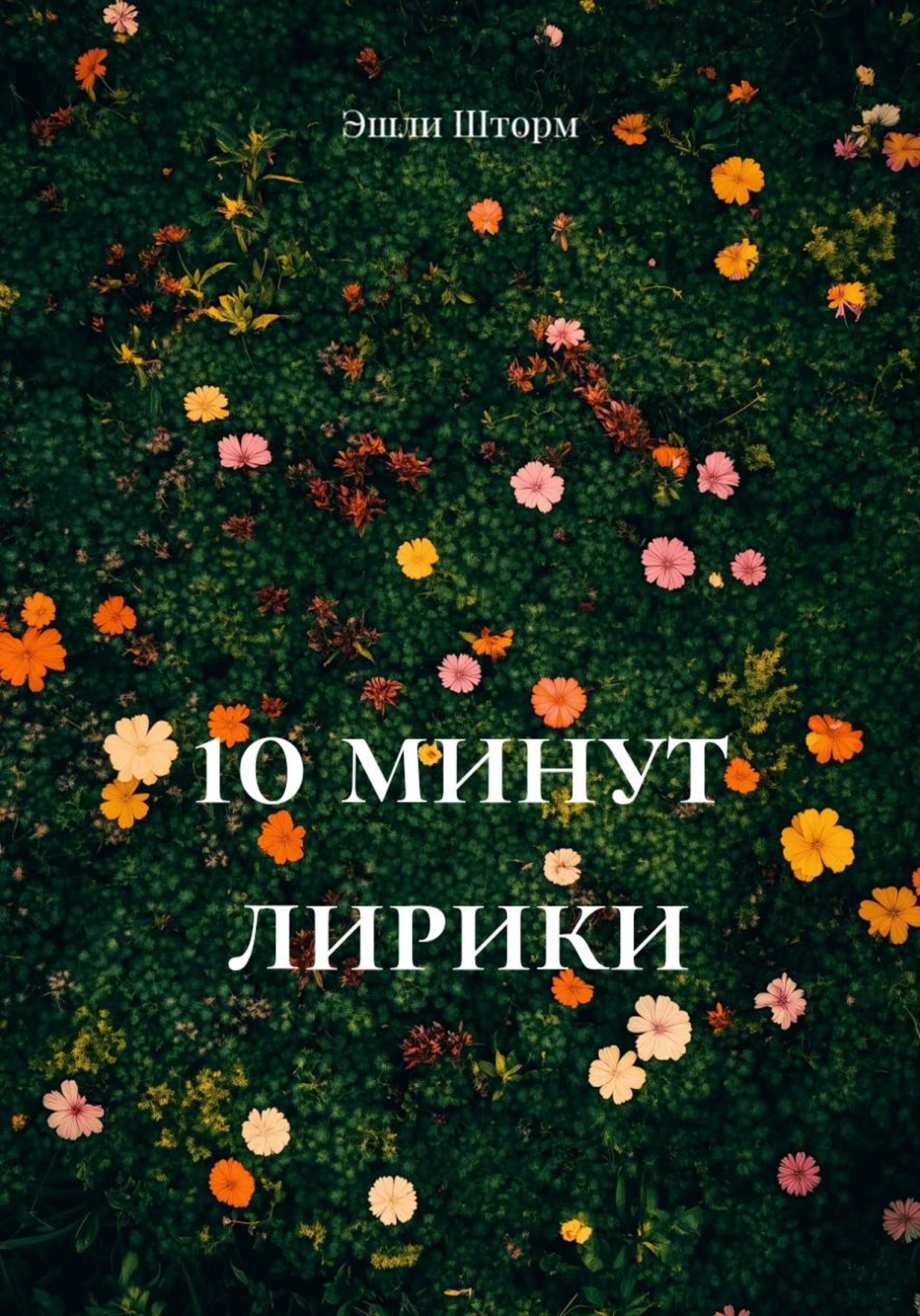 Обложка книги «10 минут лирики»